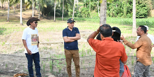 foto slider headline