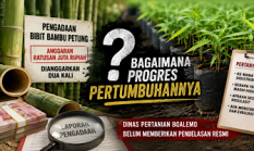 Pengadaan Bibit Bambu Petung Ratusan Juta di Boalemo: Bagaimana Progres Pertumbuhannya?