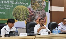 DBH Sawit Tambah Rp35 Miliar, Rum Pagau Tekankan Dampak bagi Daerah